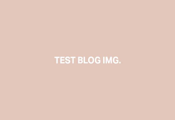 Test Blog yazısı 1